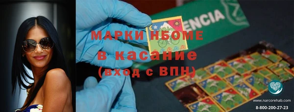 хмурый Рославль
