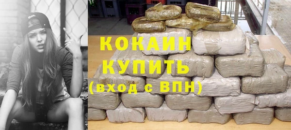 дживик Богородск