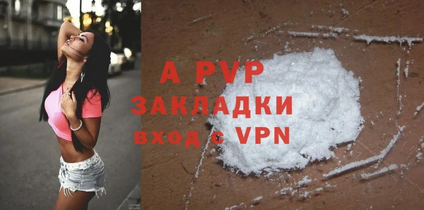 дурь Богданович