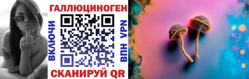 Псилоцибиновые грибы мухоморы  купить наркотик  блэк спрут как войти  Михайлов 