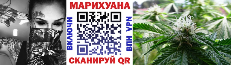 где найти   Михайлов  Конопля планчик 